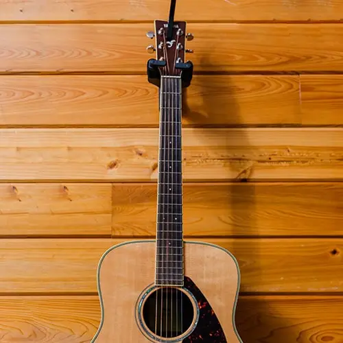 Renewal Lodge guitar