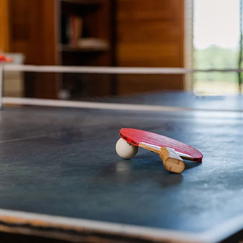 Renewal Lodge Ping Pong