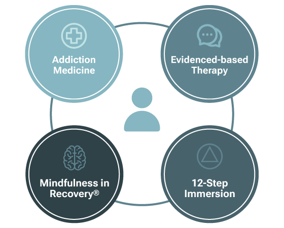 Substance Abuse Treatment Model